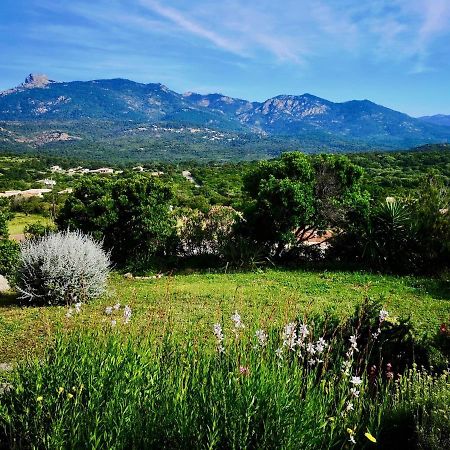Appartements Avec Jardin Entre Porto-Vecchio Et Figari - Casa Mattiste سوتا المظهر الخارجي الصورة
