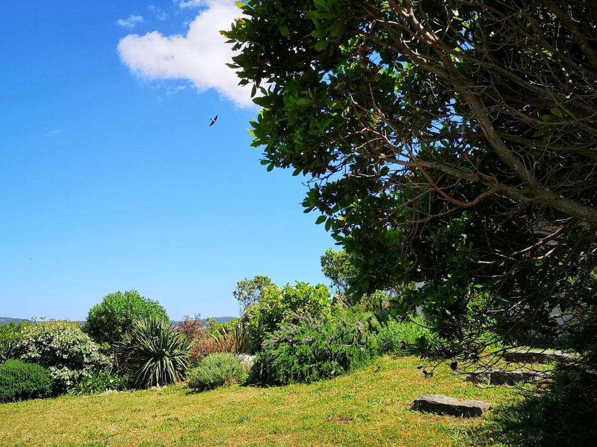 Appartements Avec Jardin Entre Porto-Vecchio Et Figari - Casa Mattiste سوتا المظهر الخارجي الصورة